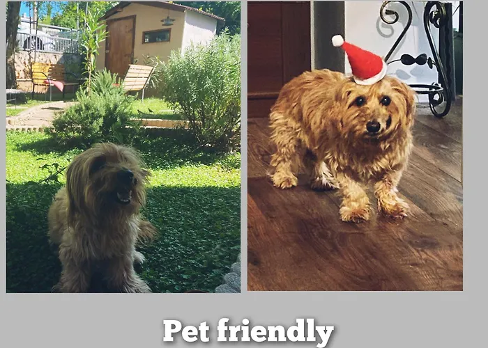 Sabo Apartamento Kraljevica