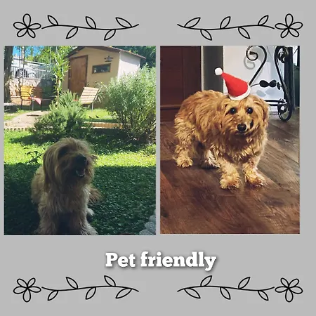 Sabo Lejlighed Kraljevica